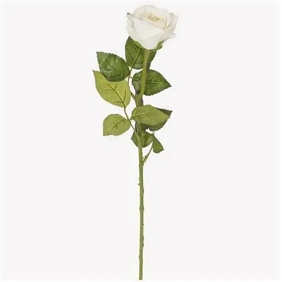 Озон интернет-магазин латексные розы белые. Белые розы искусственные купить на рынке.