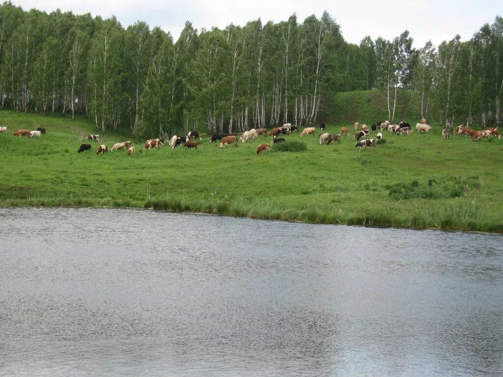 Балай красноярск. Озеро Кайлык Уярский район. Озеро круглое Уярский район. Авда Уярский район озеро. Уярские озёра Красноярского края.