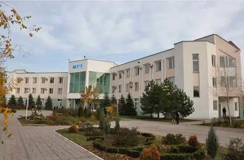 Мгу имени куинджи