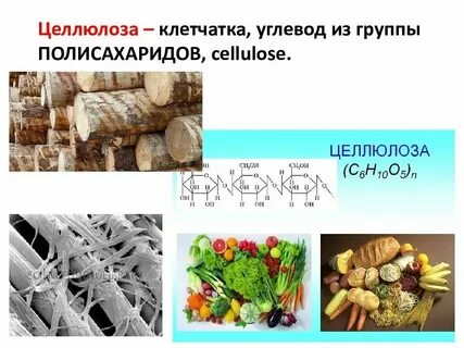 Целлюлоза это белок