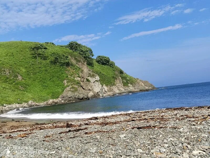 погода в приморье калининградская