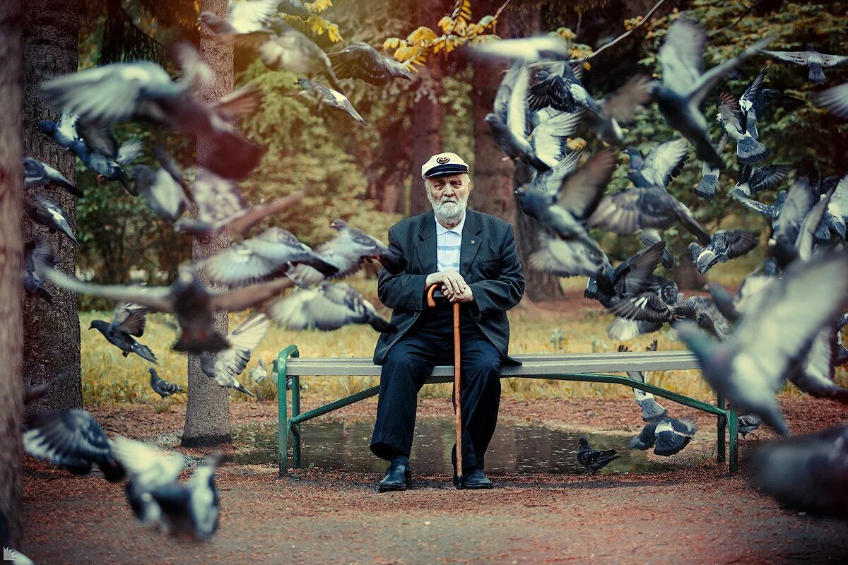 Голуби парни. Человек голубь. Старик и голуби. Голубь на скамейке. Лавочка и голуби.