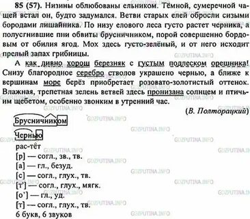 Низины облюбованы ельником стиль текста
