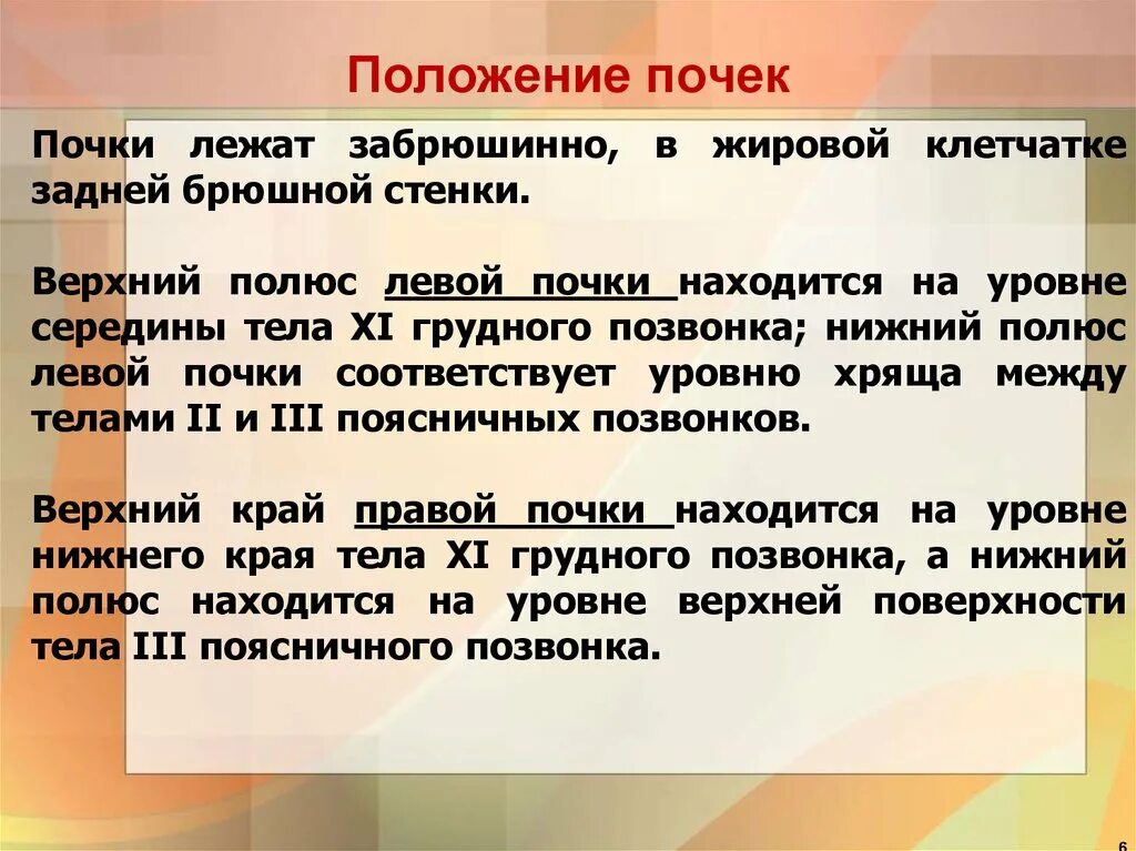 Поча ки. Положение почек. Нормальное положение почек. Положение левой почки. Положение правой почки.