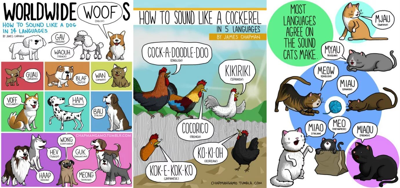 Плохая собака. Do cats like dogs. Do cats like dogs. Cats_vs_dogs описание датасета и работа с изображениями. Бигль и кошки в доме.