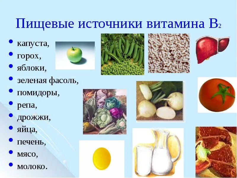 Какие продукты являются источником витамина е. Пищевые источники витамина в2. Источники витамина в2. Источники витамина с. Пищевые источники витамина а.