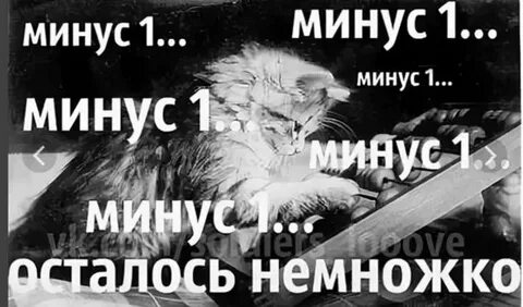 Минус я не буду одна