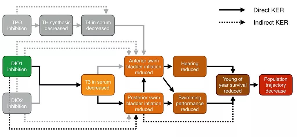 Performance reduced. Разница между decrease и reduce. Schultypen. Physical Modeling Synthesis Serum.