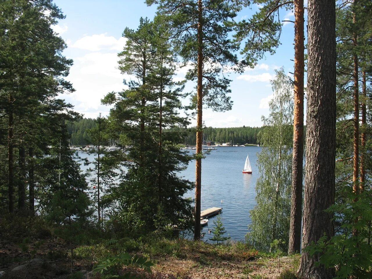 Названия финских озер. Озеро Сайма Финляндия. Финляндия природа Сайма. Сайменские озера в Финляндии. Озеро Сайма Финляндия фото.