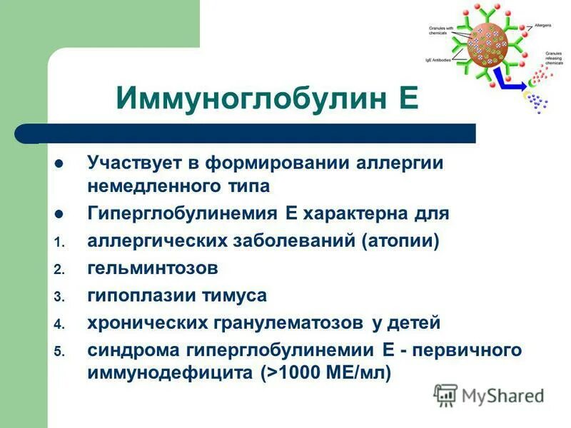 роль иммуноглобулина е. иммуноглобулин e норма. иммуноглобулин e ige общий норма у детей. иммуноглобулин норма у детей 8 лет норма. норма иммуноглобулина в крови.