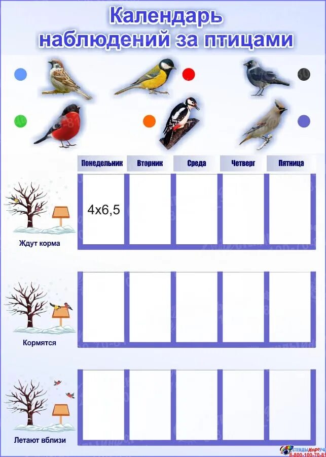 Дневник наблюдений в старшей группе. Календарь наблюдений за птицами в младшей группе. Календарь наблюдения за птицами в детском саду. Календарь природы наблюдение за птицами. Календарь наблюдений за птицами в ДОУ.