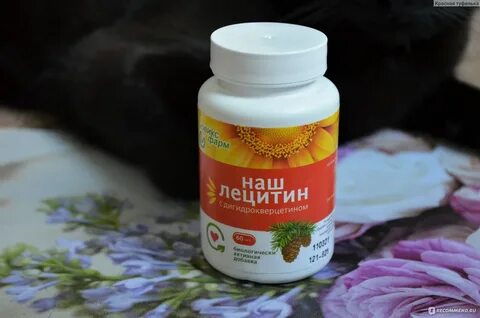 Бады 90