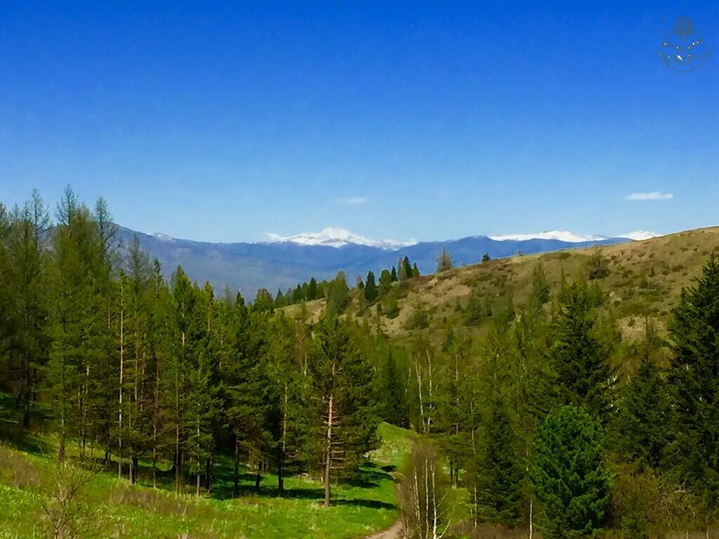 алтай казахстан. восточно-казахстанская область нац парк катон-карагай. серебрянск иртыш. восточный казахстан риддер. белуха гора катон карагай.