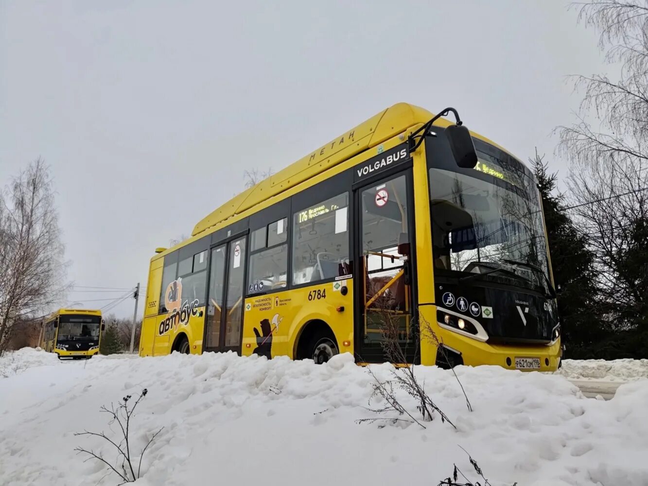 Новые автобусы 2024 ярославль. Современные автобусы. Новые автобусы. Ярославский автобус. Автобус Ярославская область.