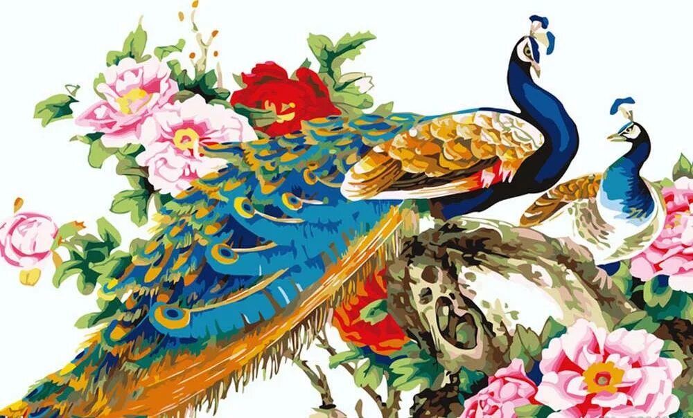 Индийская сказка птиц. Павлин живопись. Павлин китайская живопись. Райские птицы живопись. Китайские мотивы.