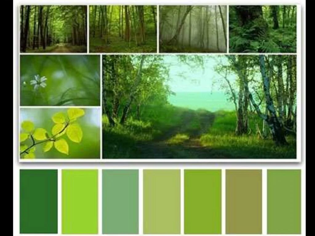 Пейзаж цветовая палитра. Сочетание зеленого в природе. Цветовые сочетания в композиции. Цветовые сочетания с зеленым. Нюанс краски