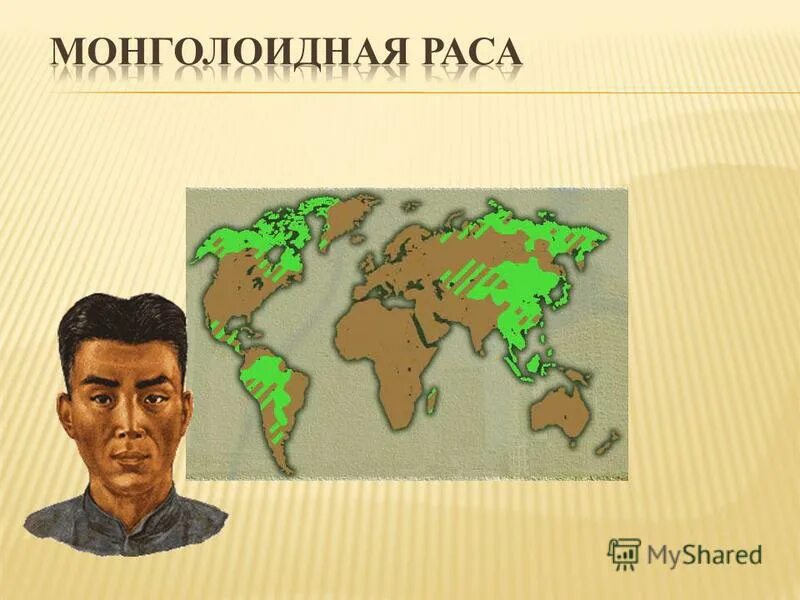 размещение монголоидной расы. куда рас. места расселения монголоидной расы. куда рас. ареал распространения монголоидной расы.