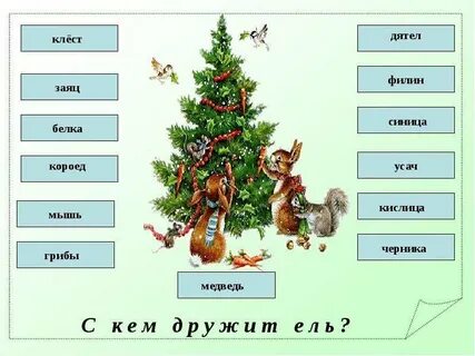 Окружающий мир ели 3 класс