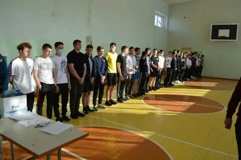 Сайт техникума стеценко