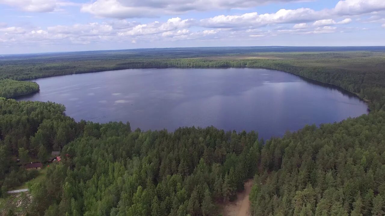 Озеро тезис. Озеро большое Всеволожск. Озеро большое Ленинградская область Всеволожск. Озеро круглое Ленинградская область Всеволожский. Озеро Бездонка Всеволожский район.