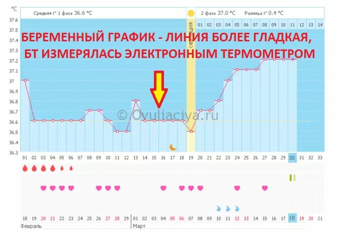 Как мерить базальную температуру для определения. При измерении базальной температуры как измерить температуру. Базальное измерение температуры для овуляции. Как измеряется базальная температура для определения овуляции. Как определить базальную температуру