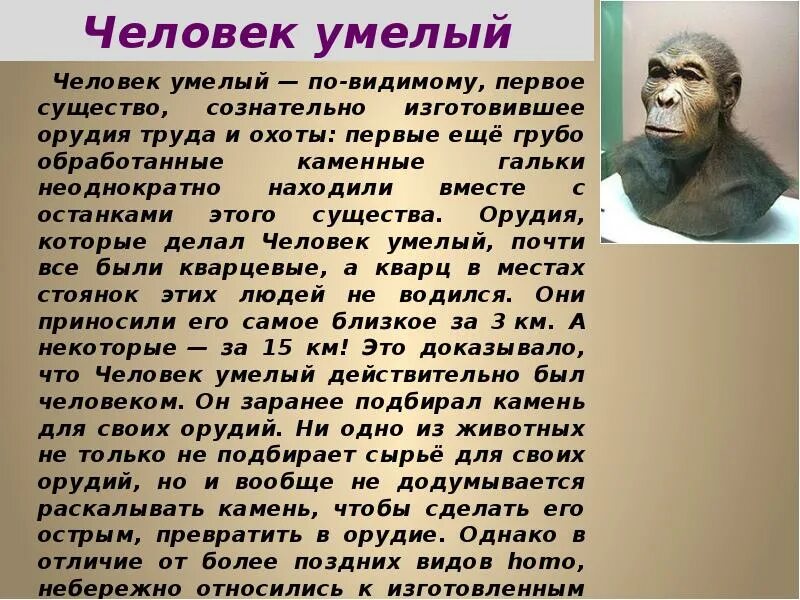 Возникновение человека разумного. Что мог делать человек умелый. Человек умелый происхождение. Человек умелый происхождение. Человек умелый происхождение.