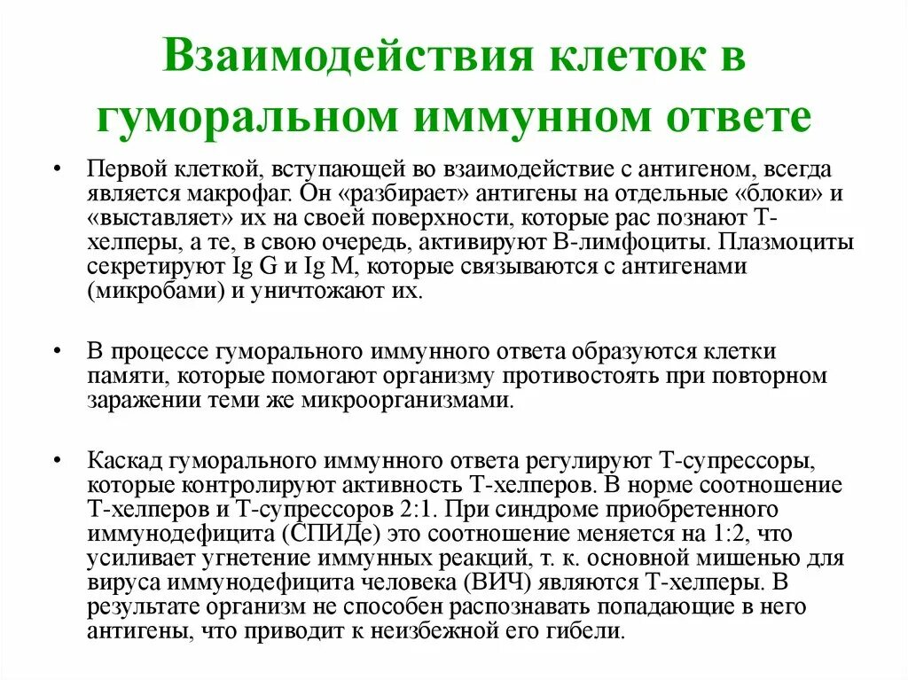 Взаимодействие иммунных клеток. Первая клетка вступающая во взаимодействие с антигеном. Взаимодействие клеток в гуморальном иммунном ответе. Взаимодействие клеток в гуморальном иммунном ответе и его продукты.. Взаимодействие клеток в иммунном ответе.