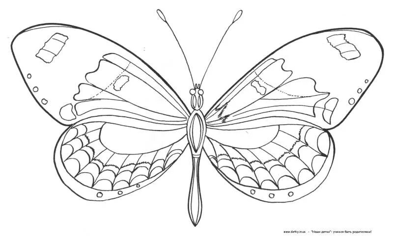 Раскраска "бабочки". Бабочка рисунок карандашом. Рисунок бабочки для срисовки. Разукрашки бабочки. Раскраска симбочка распечатать