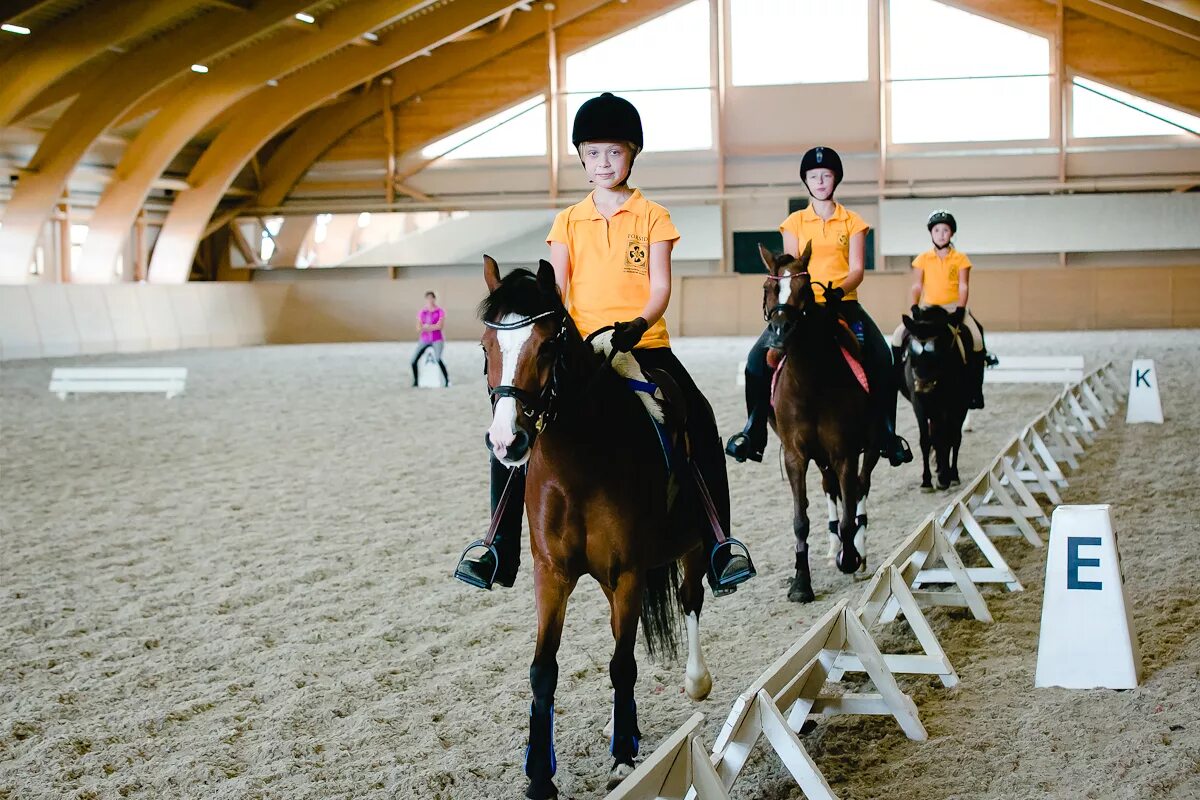 Дубровский оренбург конный клуб. Конно-спортивный комплекс дубровский оренбург. Конный клуб гармония оренбург. Тематические фотосессии с лошадьми. Лошади в оренбургской области.