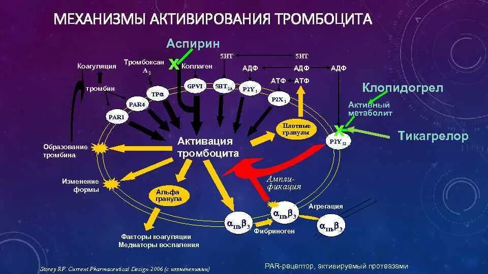 Аспирин механизм действия. Аспирин тромбоксан. Тр рецепторы тромбоксана. Механизм действия аспирина