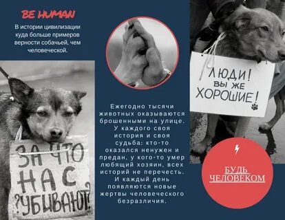 Преданность рассказ