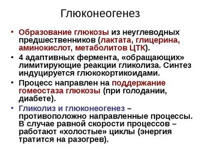 Глюкоза синтезируется в печени