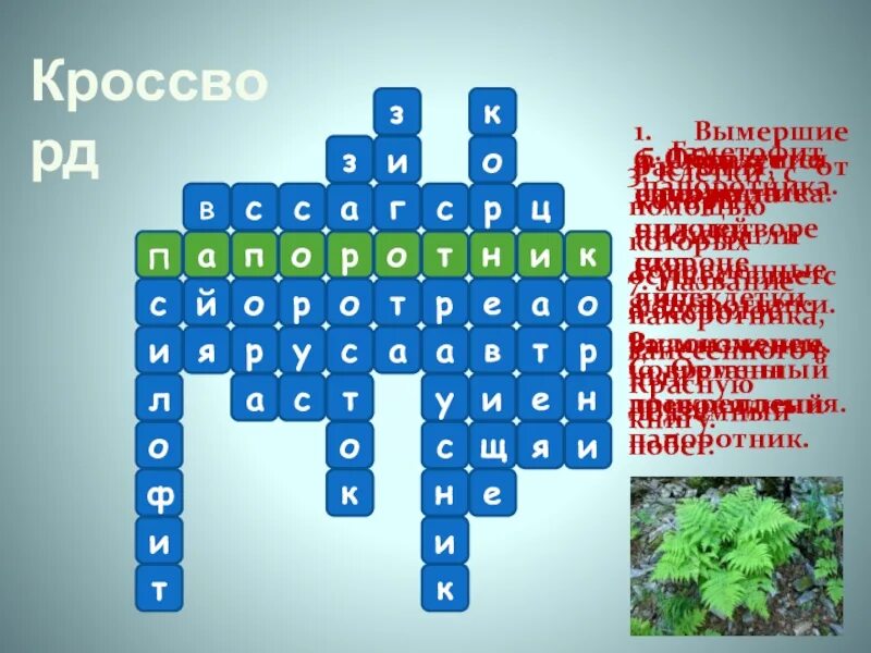 Кроссворд многообразие водорослей. Кроссворд на тему мхи и папоротники. кроссворд на тему папоротники. кроссворд на тему мхи. кроссворд с ключевым словом папоротник.