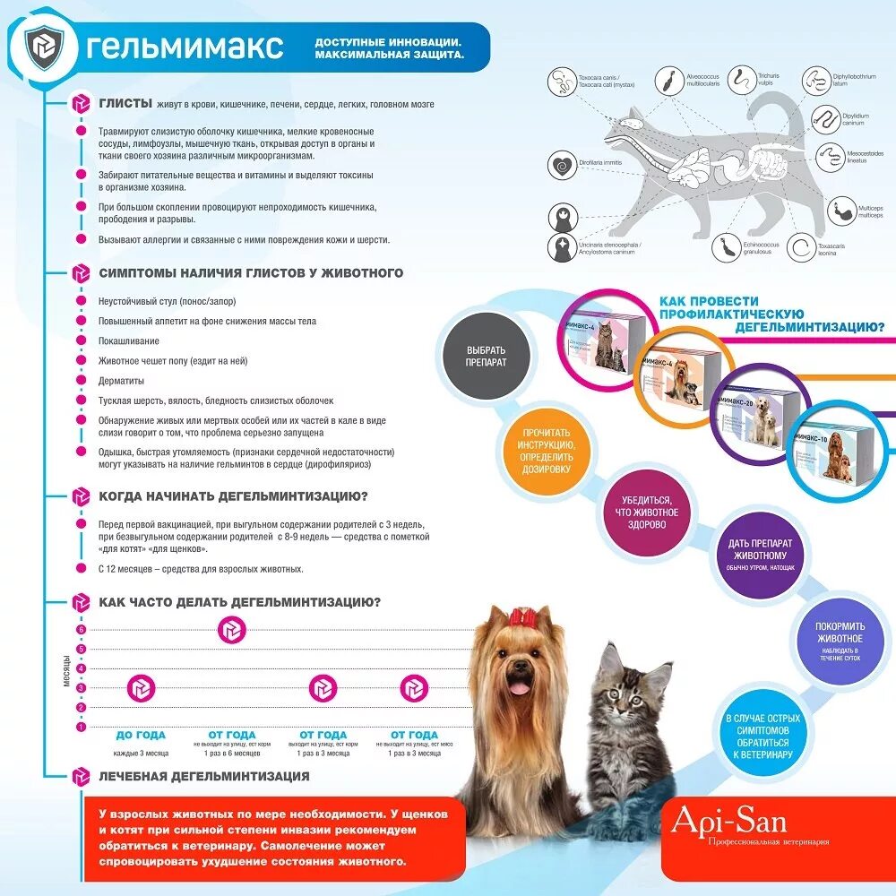 Mdr1 у собак. Вакцинация и дегельминтизация собак схема. Обработка собак от гельминтов схема. Дегельминтизация собак и кошек. Дегельминтизация собак.