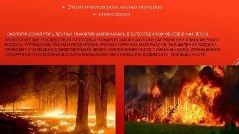 Причина пожаров человеческий фактор