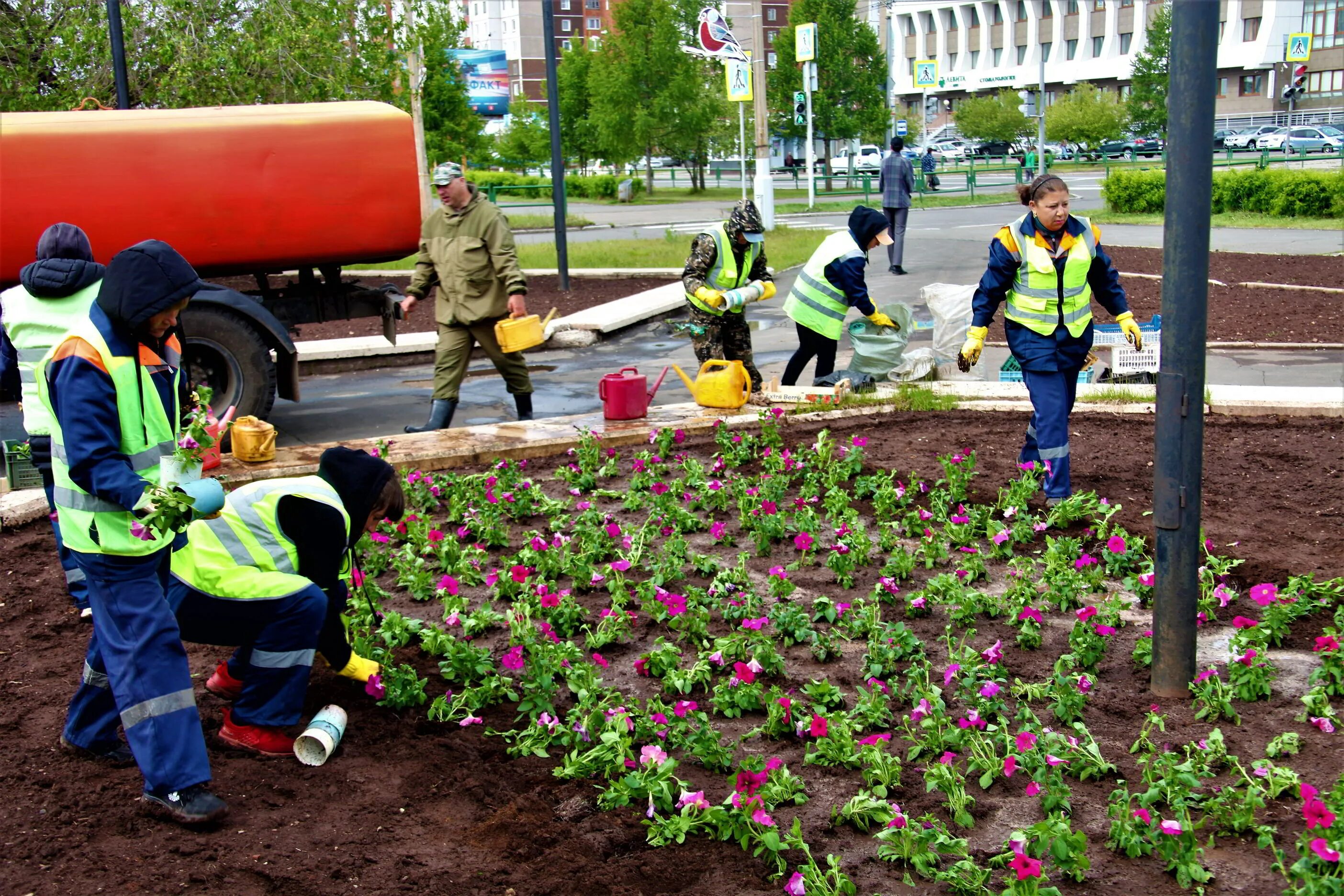 Какие цветы высаживают на улице. Сажают цветы в городе. Посадки в цветник в городе. Дорожная служба города Братска. Озеленение улиц.
