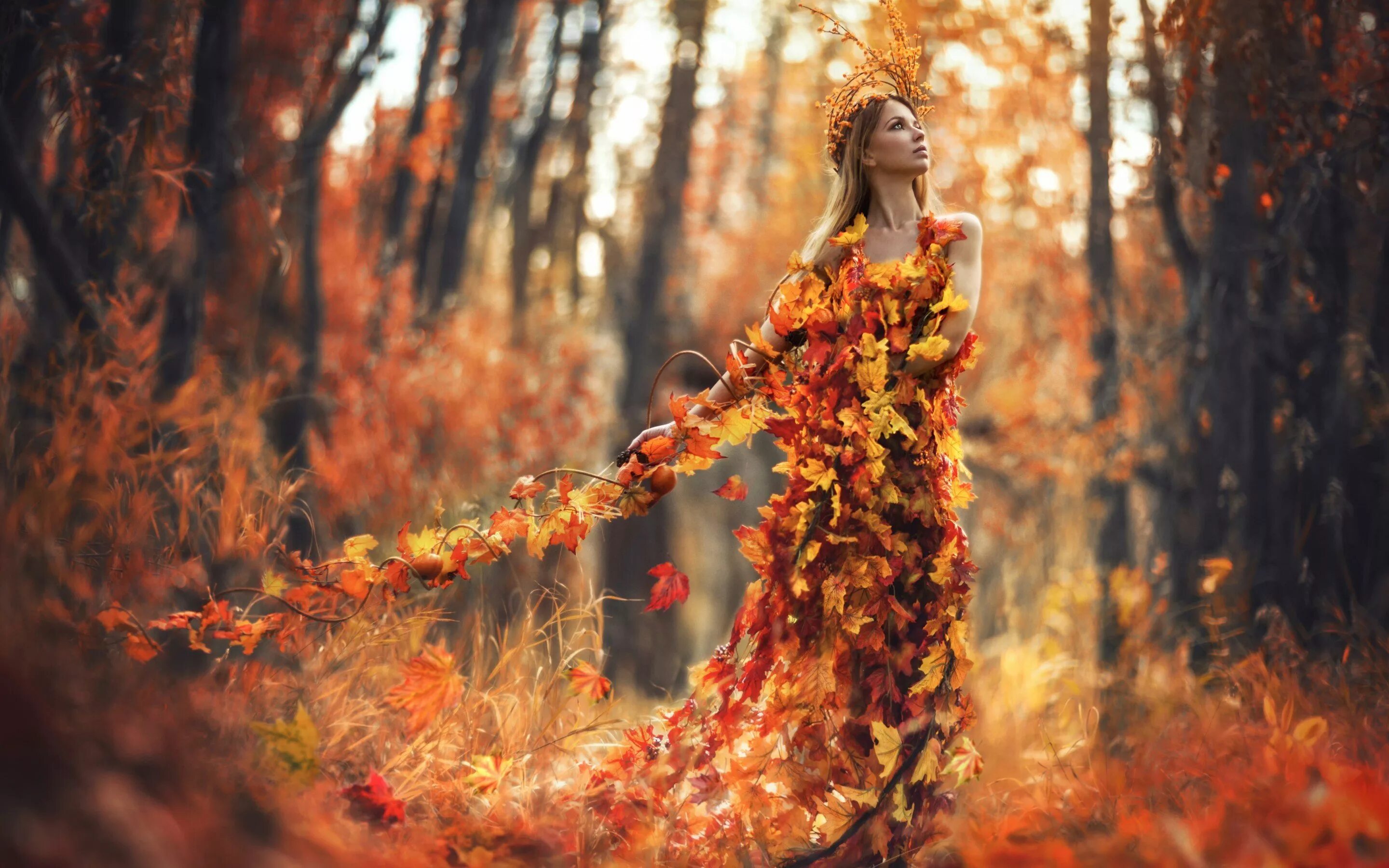 Девушка осень. Осенняя девушка. Девушка в осеннем лесу. Осенняя фотосессия девушки. Брожу по осеннему лесу