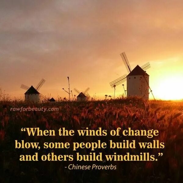 When the wind. Wind if change. chinese proverbs changes. the wind changed in the morning. when wait the wind.