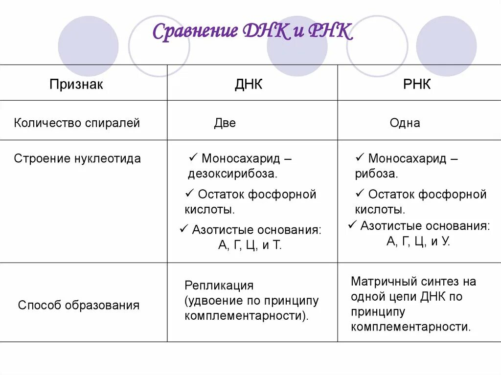 Таблица сравнения ДНК РНК АТФ. Таблица нуклеиновые кислоты ДНК И РНК АТФ строение. Сравнительная характеристика ДНК РНК И АТФ. ДНК РНК АТФ таблица сравнительная характеристика. Сравнить днк и рнк