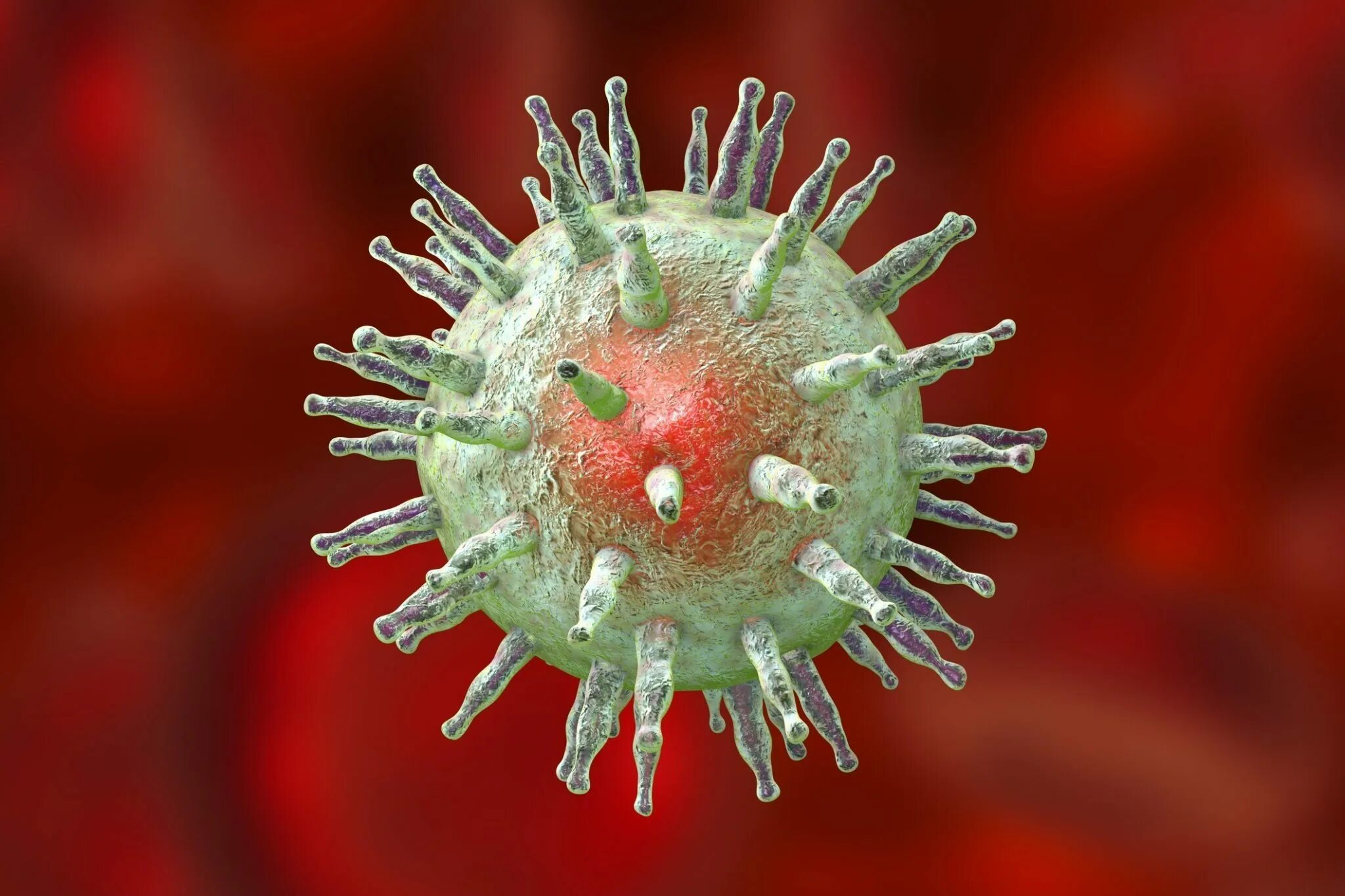 Вирус Epstein Barr virus. Вирус Эпштейна-Барр под микроскопом. Гамма герпетический вирус.