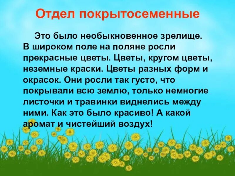 Это был необыкновенный понедельник по тенистым. Что растет на Поляне. Вырастать на Поляне. Это было необыкновенное зрелище. Растения растущие на Поляне доклад.