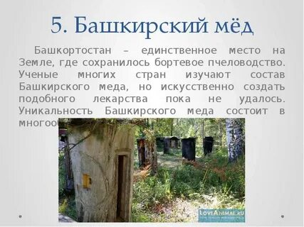 Единственное место на земле