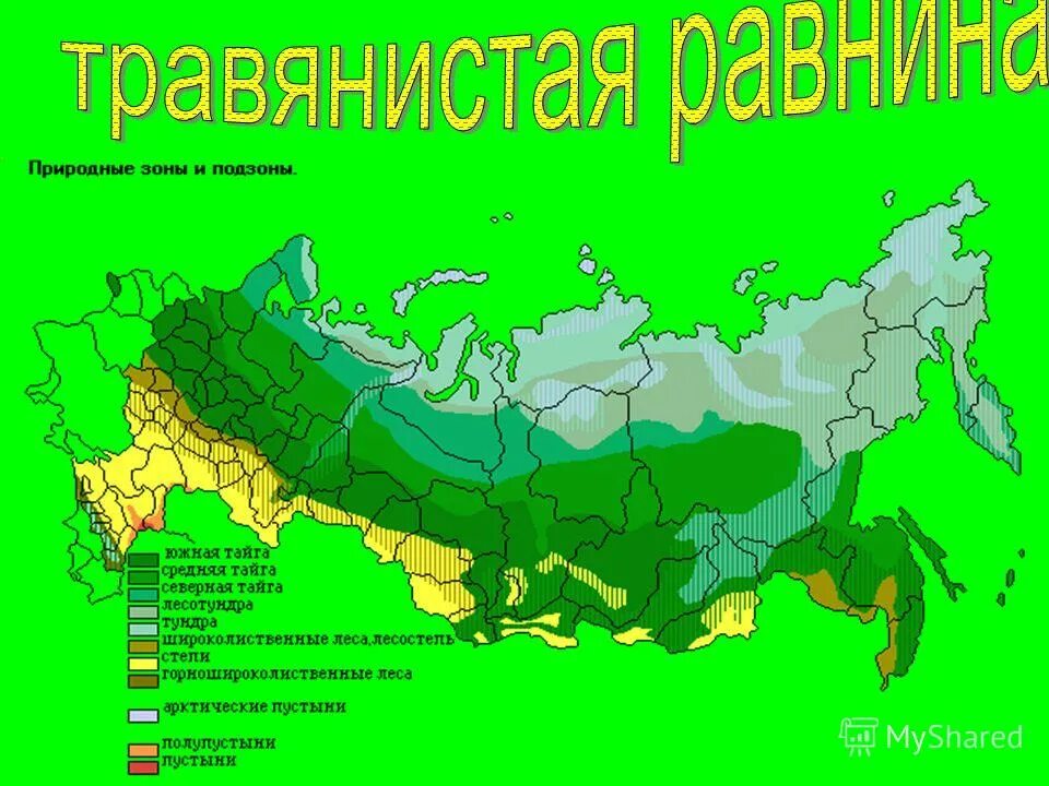 Природные зоны. Природные зоны и подзоны России. Тайга на карте России природных зон. Тайга природная зона на карте.