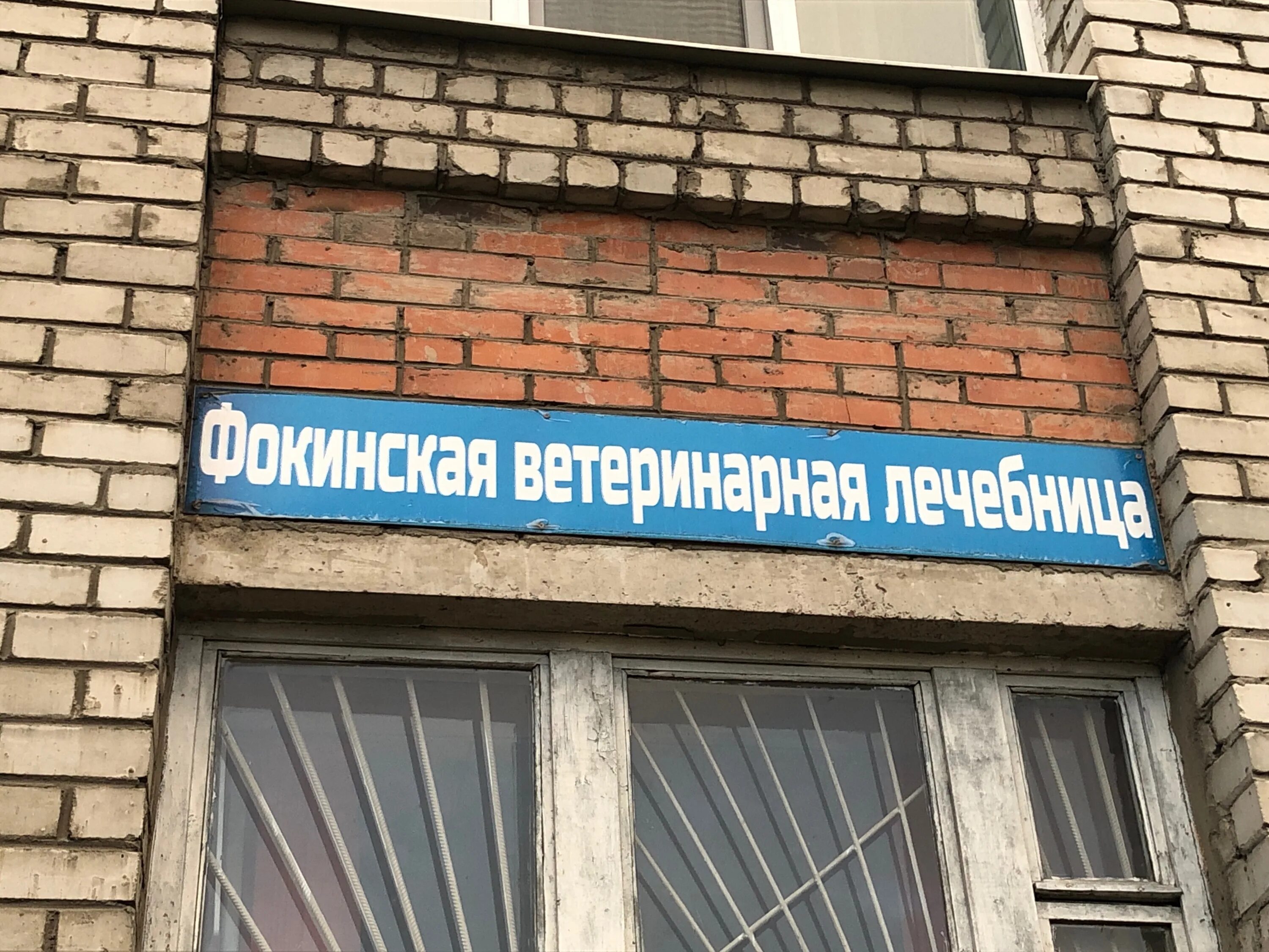 Ветеринарная клиника куйбышев