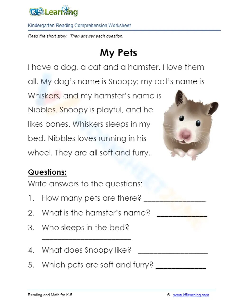 He has got pets. Text about Pets for Kids. My Pet текст. Reading Comprehension английский. Pet for reading for children.