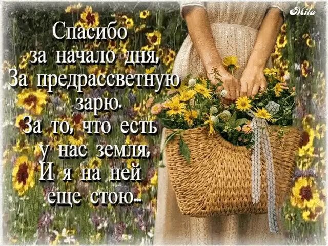 Спасибо день за то что был. Благодарю за новый день стих. спасибо господи за новый день. благодарим бога за новый день. благодарю жизнь.