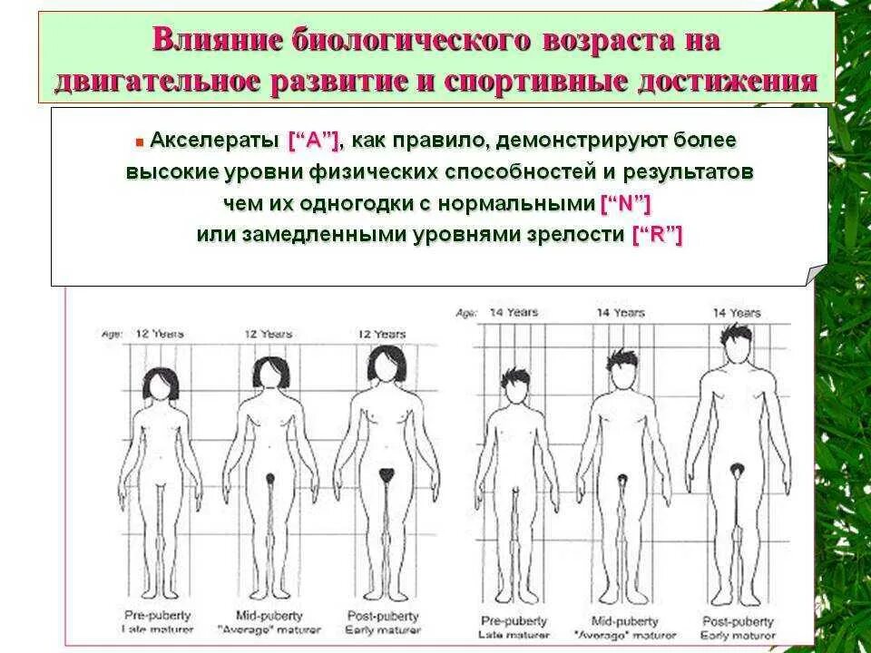 Во сколько лет отправлять