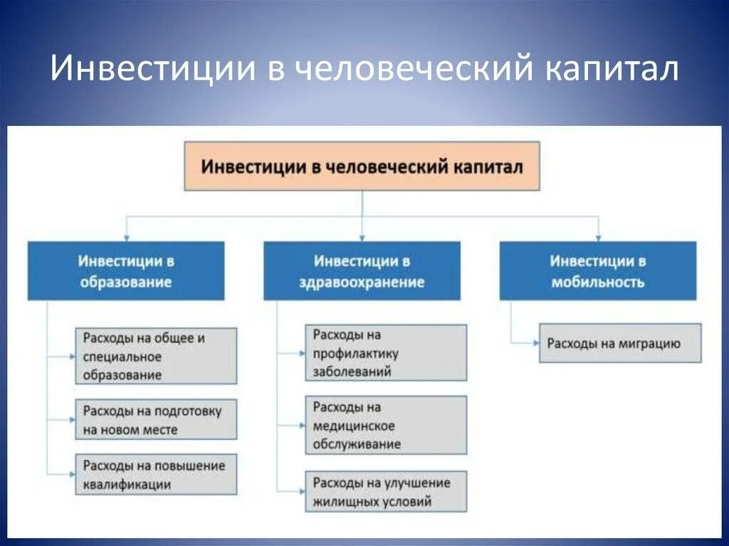 Инвестиции в человеческий капитал виды. Человеческие издержки в вов. Вложения в человеческий капитал. Факторами формирования человеческого капитала являются:. Инвестиции в человеческий капитал.