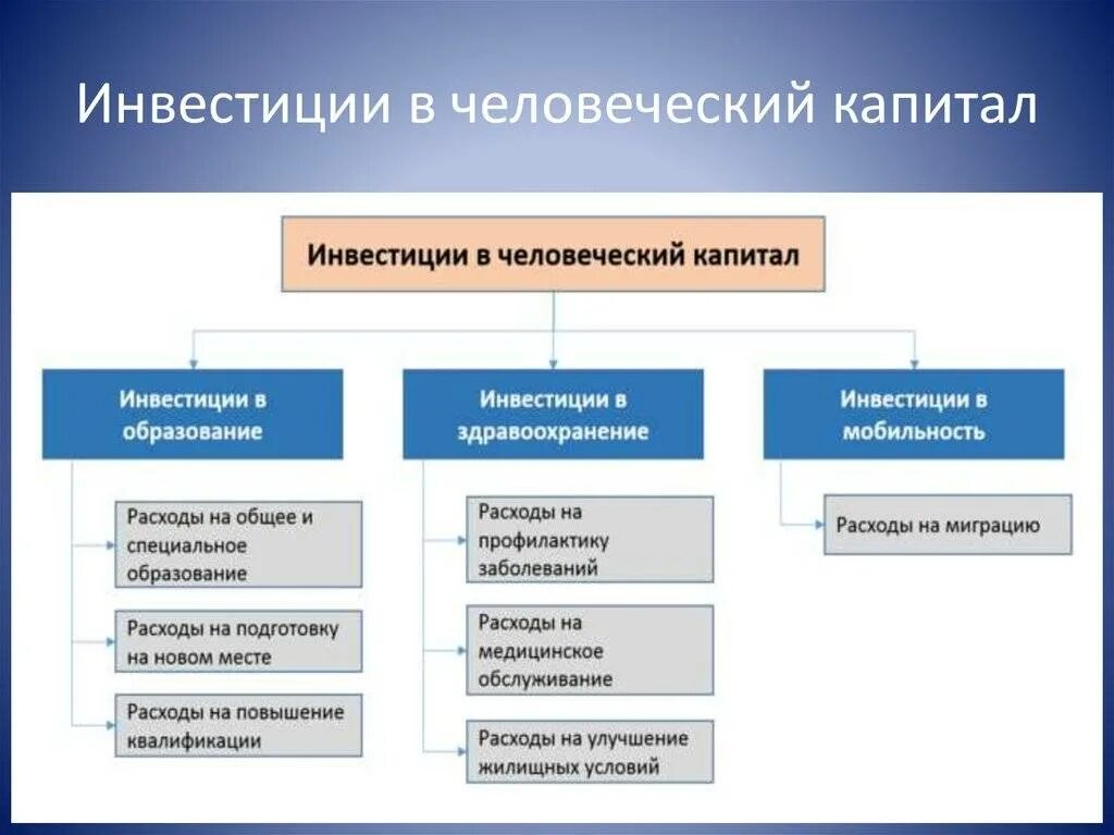 Человеческий капитал в образовании. Инвестиции в человеческий капитал. Факторы развития человеческого капитала. Факторы формирования и развития человеческого капитала. Факторами формирования человеческого капитала являются:.