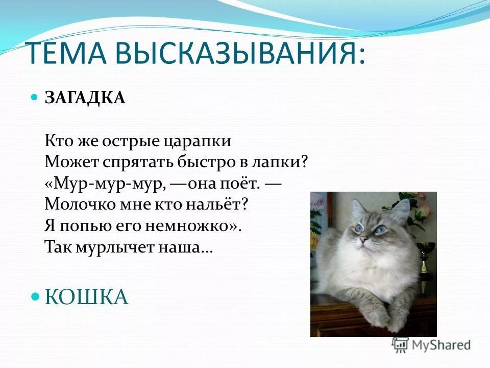 Загадка про кошку. Стих загадка про кошку. Загадки (кошечка). Загадка про котёнка для 1 класса. Загадки про кошку для класса